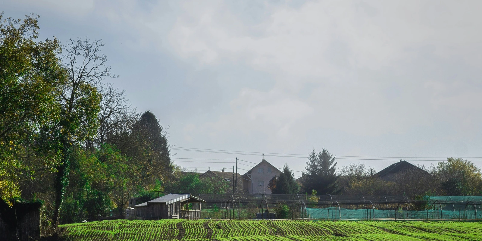 Comment Se Préparer pour le BUT GACO à Lyon 3
