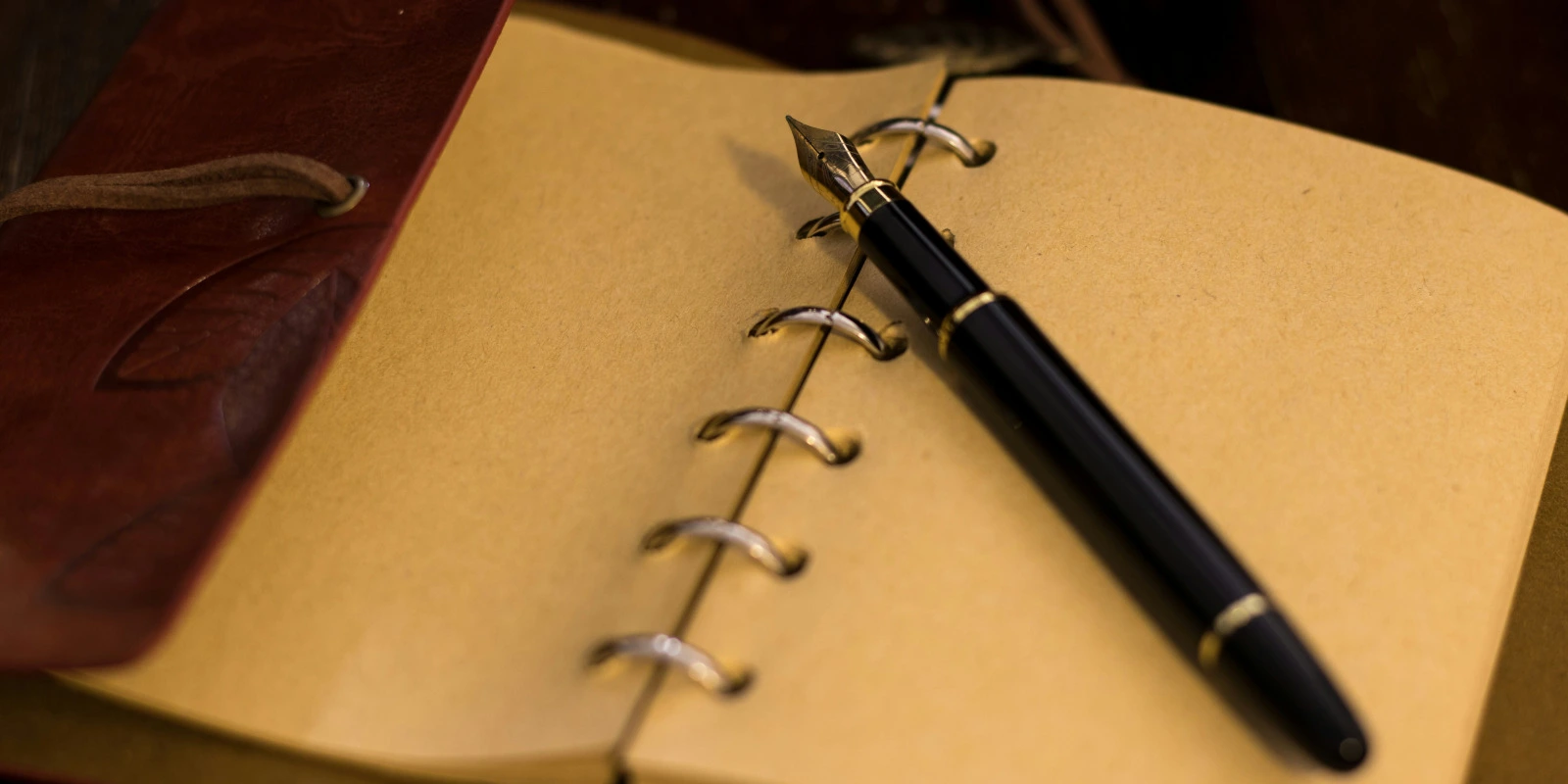 Les Meilleures Spécialités du BUT GACO Les Meilleures Spécialités du BUT GACO