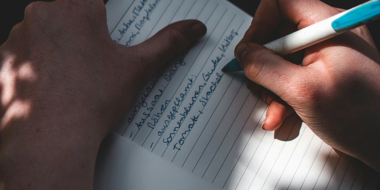 Pourquoi Intégrer le BUT GACO à Strasbourg